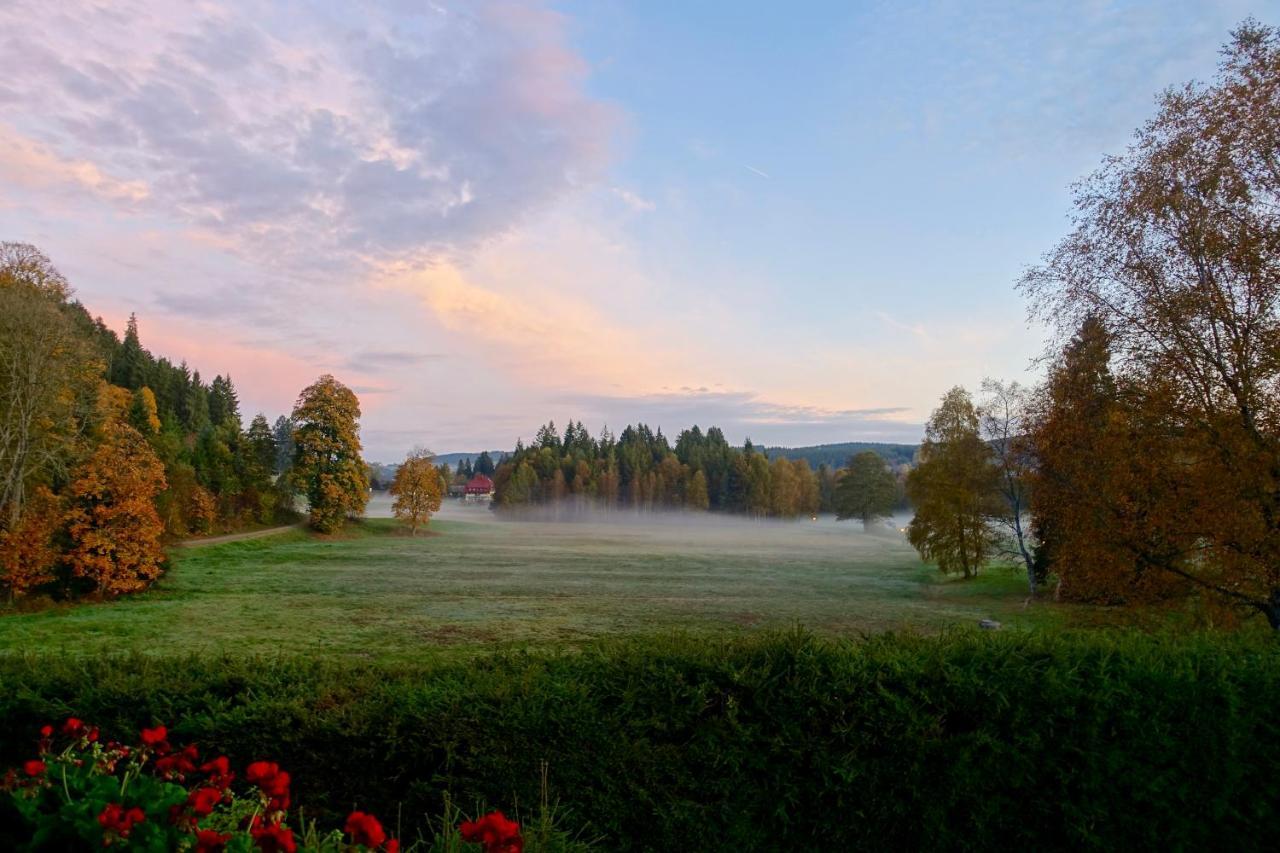 Hollhouse - Bed & Breakfast Hinterzarten Dış mekan fotoğraf
