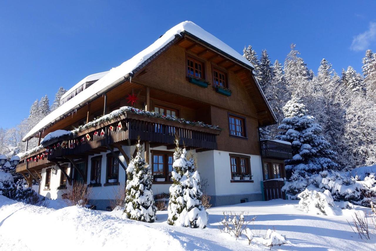 Hollhouse - Bed & Breakfast Hinterzarten Dış mekan fotoğraf