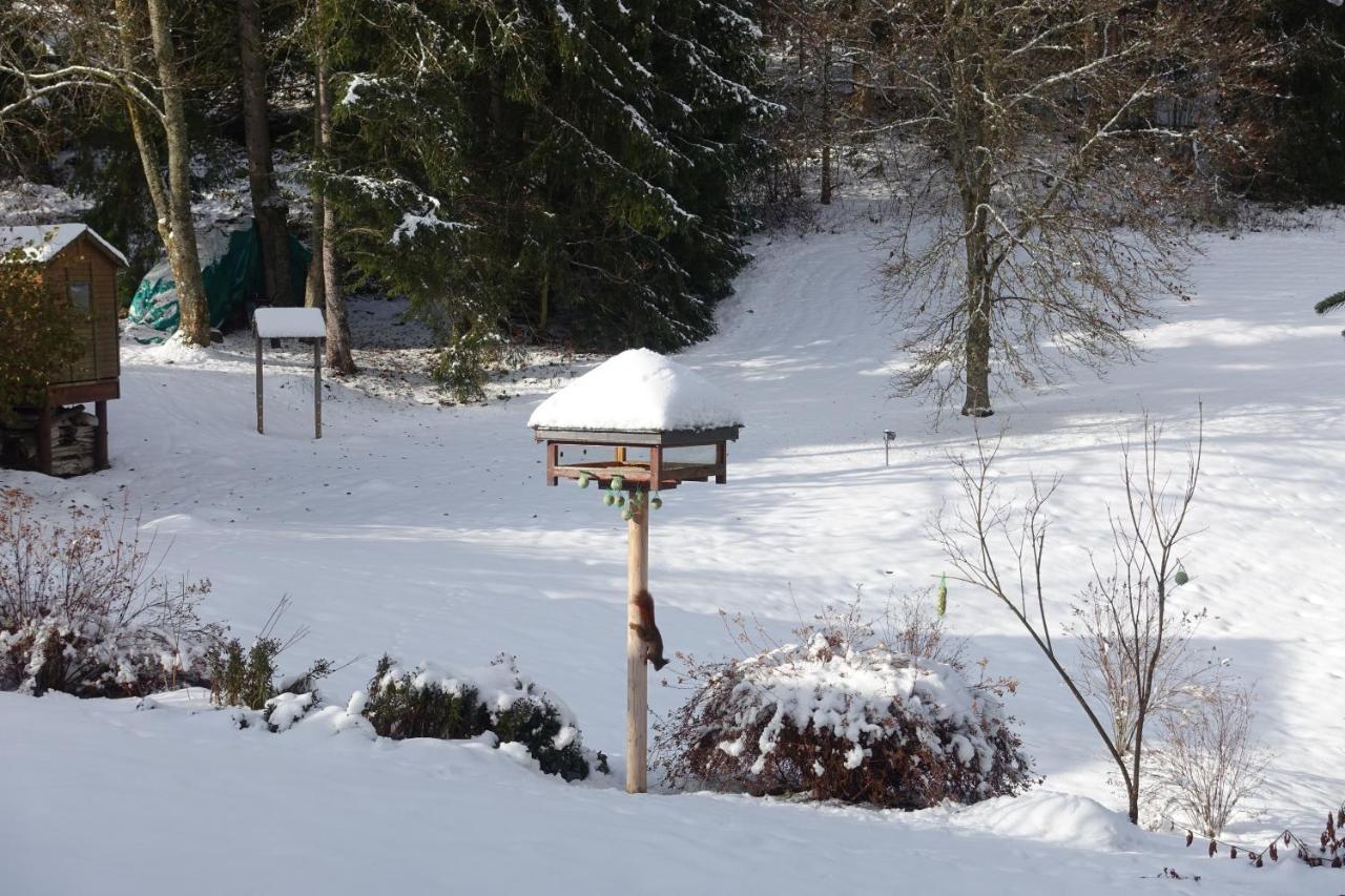 Hollhouse - Bed & Breakfast Hinterzarten Dış mekan fotoğraf