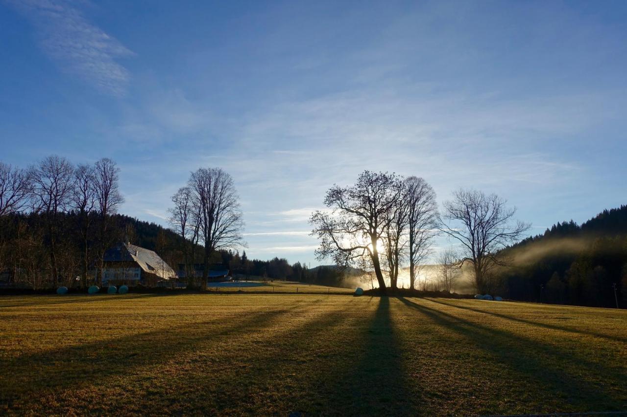 Hollhouse - Bed & Breakfast Hinterzarten Dış mekan fotoğraf