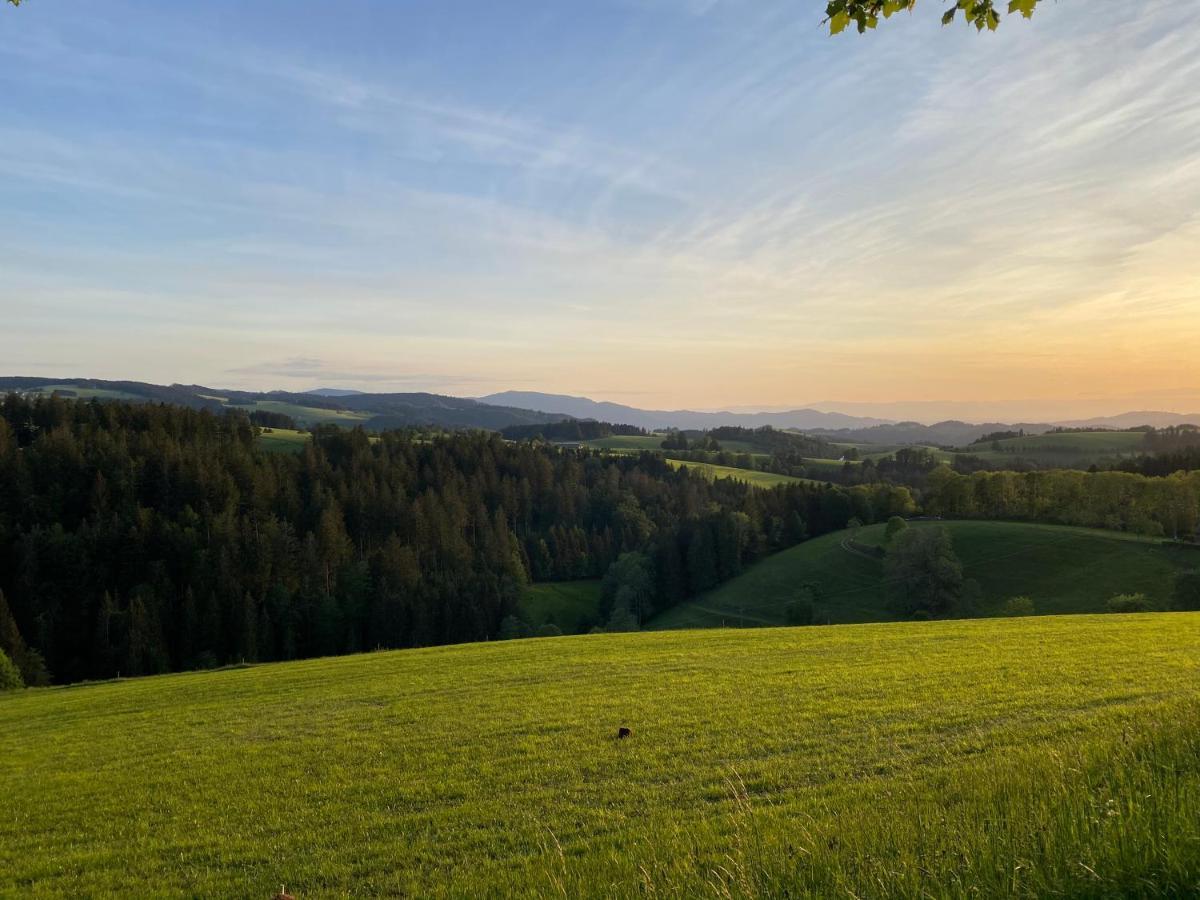 Hollhouse - Bed & Breakfast Hinterzarten Dış mekan fotoğraf