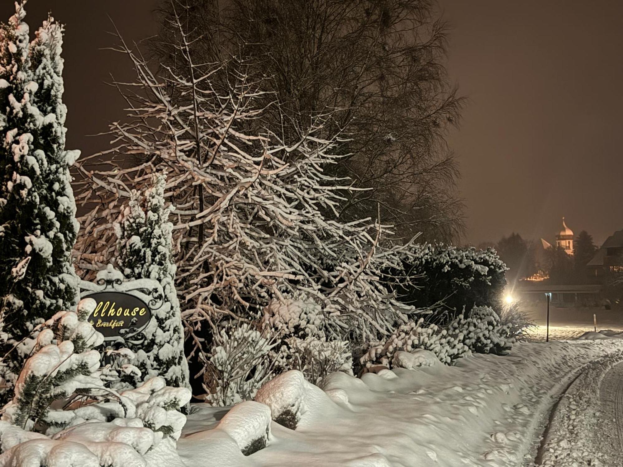 Hollhouse - Bed & Breakfast Hinterzarten Dış mekan fotoğraf